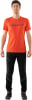 Dynafit Transalper Warm Wanderhose