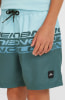 O'Neill Cali Stripe Badeshorts