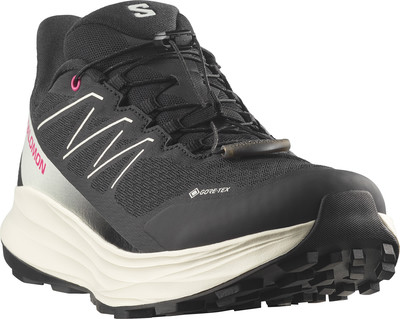 Schwarzer Salomon Wanderschuh mit Schnellverschluss und Gore-Tex-Membran. Schwarzer Salomon Wanderschuh mit Schnellverschluss und Gore-Tex-Membran.