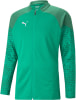 Puma teamCUP Trainingsjacke