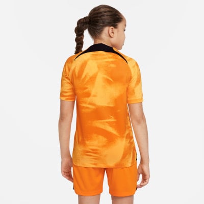 Nike Niederlande Heimtrikot