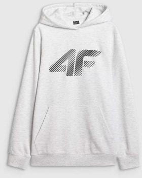 4F M1766 Hoodie