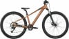 Scott Roxter 600 Mountainbike