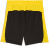 Puma BVB Shorts Replica w Fanshort