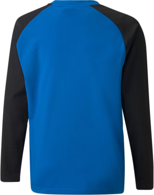 Puma teamLIGA Training Pullover