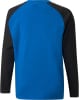 Puma teamLIGA Training Pullover