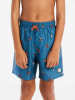 Protest Prtrocker Beachshort