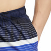Firefly Lucio Flowline Badeshorts