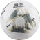 Academy Premier League Fußball