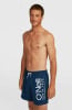 O'Neill Cali Swim Badeshorts
