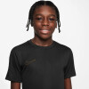 Nike Dri-FIT Academy23 gyerek póló