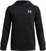 Under Armour Icon Fleece Hoodie