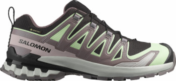 Salomon XA Pro 3D V9 GTX Traillaufschuhe