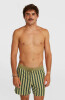 O'Neill O'Riginals Stripe Badeshort