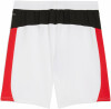 Puma ACM Shorts Replica Fanshort