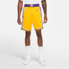 Nike NBA Los Angeles Lakers Icon Basketballshorts