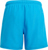 adidas Ess Clx Badeshorts