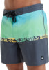 Quiksilver Everyday Jam Badeshorts