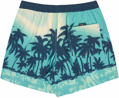 Quiksilver Everyday Badeshorts
