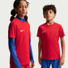 Nike Dri-FIT Park VIII Fußballtrikot