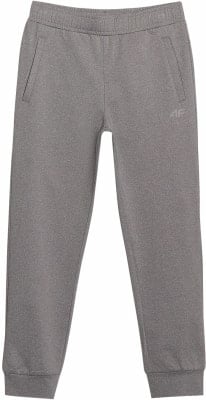 4F M0877 Trainingshose Dry