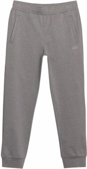 4F M0877 Trainingshose Dry