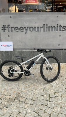 Ben-E-Bike Twentyfour E-Power PRO
