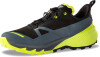 Dynafit Traverse 2 GTX Traillaufschuhe