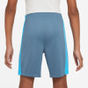 Nike Dri-FIT Academy23 gyerek rövidnadrág