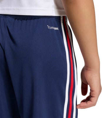 Dunkelblaue Sporthose mit weißen und roten Streifen.