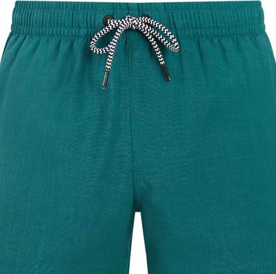 Grüne Badehose mit schwarz-weißer Kordel am Bund. Grüne Badehose mit schwarz-weißer Kordel am Bund.