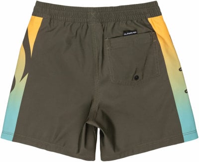 Quiksilver Everyday Holmes Badeshorts