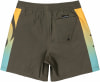 Quiksilver Everyday Holmes Badeshorts