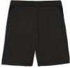 Puma teamGOAL Trainingsshorts