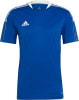 adidas Tiro 21 Trainingstrikot