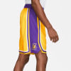 Nike NBA Los Angeles Lakers Icon Basketballshorts