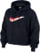 Swoosh Icon Clash Hoodie