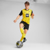 Puma Borussia Dortmund 24/25 Shorts