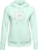 Under Armour Rival Fleece Metallic Hoodie