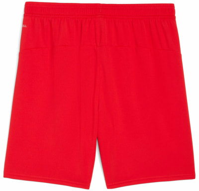 Puma FC Red Bull Salzburg 25/26 Shorts