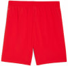 Puma FC Red Bull Salzburg 25/26 Shorts