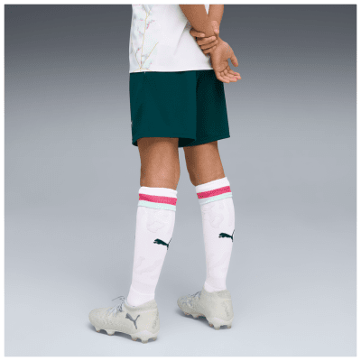 Puma ÖFB 2026 Fußballshorts Replica