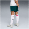Puma ÖFB 2026 Fußballshorts Replica