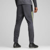 Puma IndividualLIGA Trainingshose