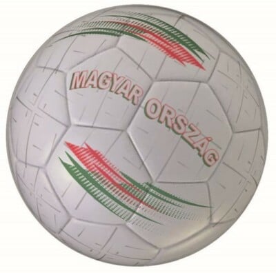 Pro Touch PRO TOUCH Country ball 2026 minilabda