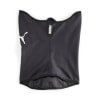 Puma Individual WINTERIZED obličejová maska 