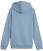 Puma Tweenerverse Hoodie G Kapuzensweater