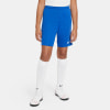 Nike Park III Trainingsshorts