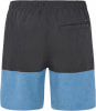 Protest Prtfreddie Beachshort