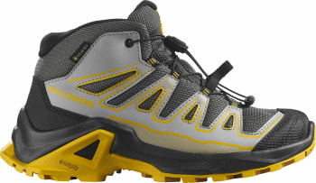 Salomon X Ultra Mid GTX Turistické boty